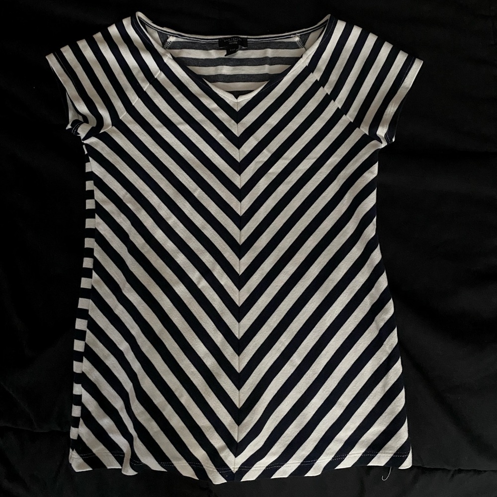 Ann Taylor Petite Shirt